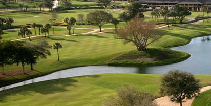 Adios Golf Club - photo 4