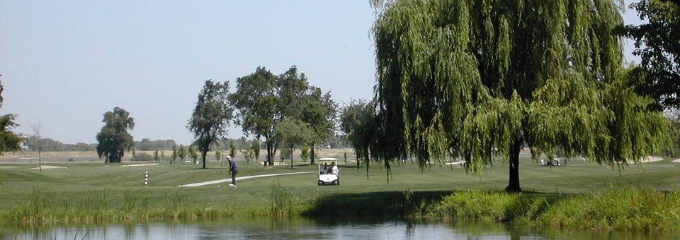River Oaks Golf Club - photo 5