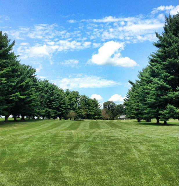 Edwood Glen - photo 6