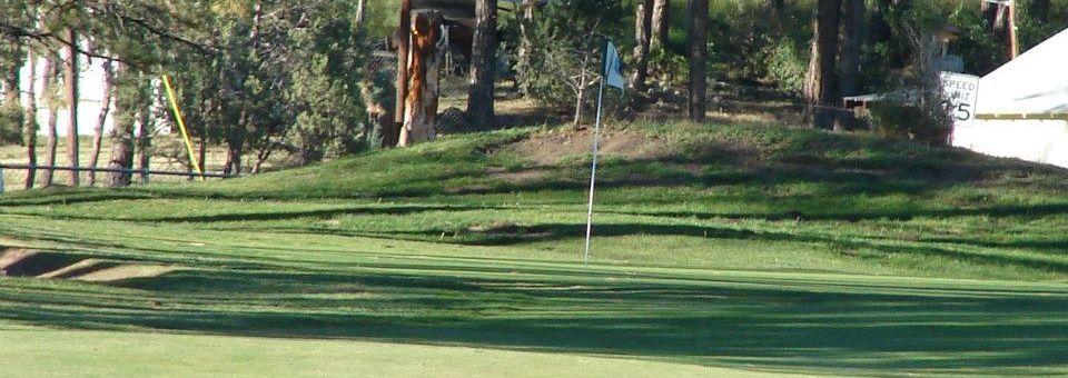 Sammy Baugh Golf Course - photo 4