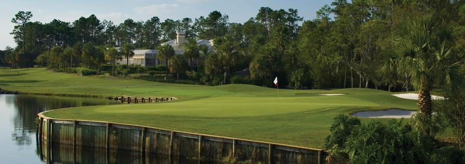 Saddlebrook Resort Golf Course - photo 3
