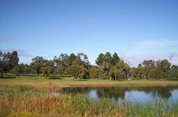 Chequers Golf Club - photo 5