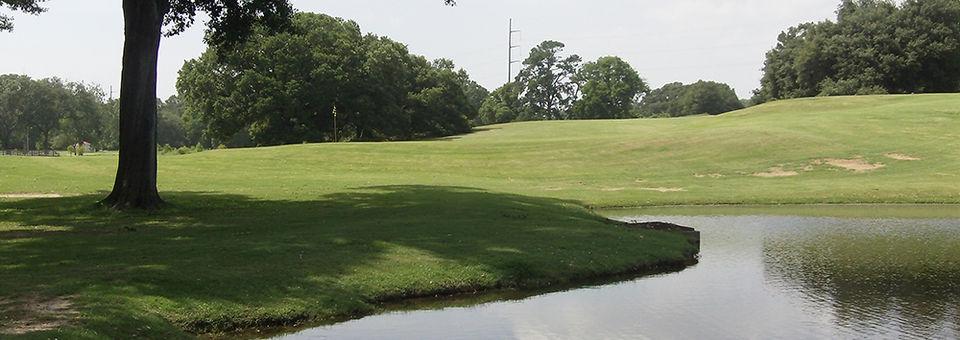 Historic City Park Golf Course - photo 5