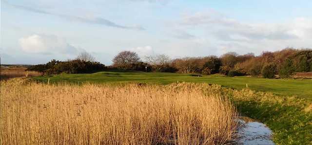 Swansea Bay Golf Club - photo 2