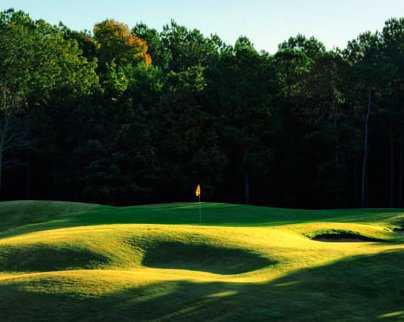 Robert Trent Jones Golf Trail At Oxmoor Valley - photo 6