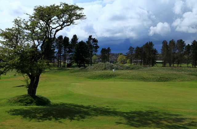 Monifieth Golf Links - Ashludie - photo 2