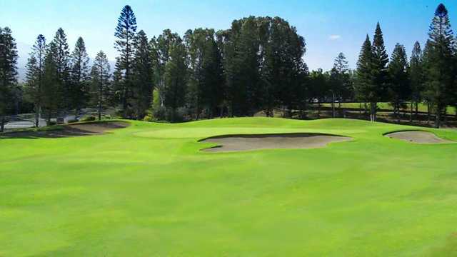 The Village Course at Waikoloa - photo 3