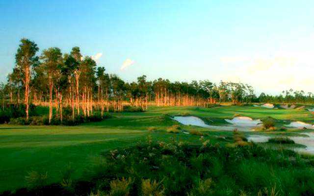Pacific Harbour Golf Course - photo 6