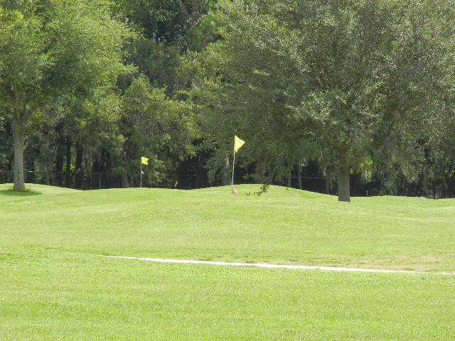 Betmar Acres Golf Club - photo 3