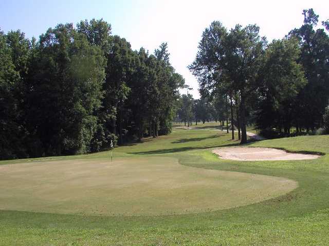 Shannon Greens Golf Club - photo 2