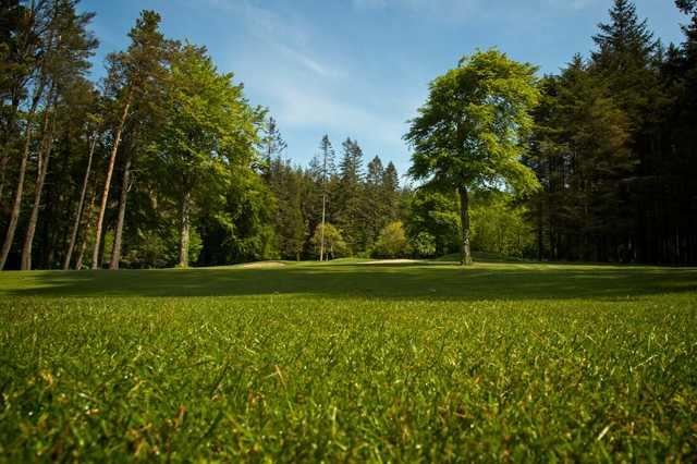 Athenry Golf Club - photo 2