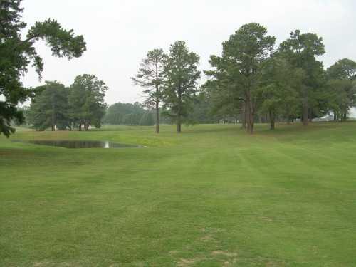 Golden Eagle Golf Club - photo 2