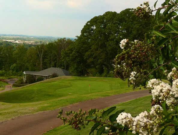 Royal Oaks 1 - photo 2