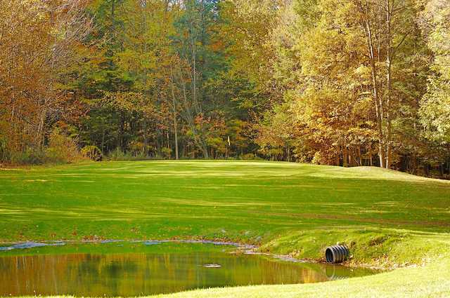 Shamrock Golf & Country Club - photo 3