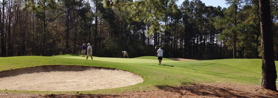 Meadowlands Golf Club - photo 5