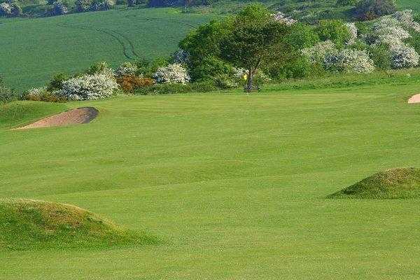 Brighton & Hove Golf Club - photo 6