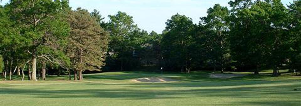 Kings Crossing Golf Club - photo 4