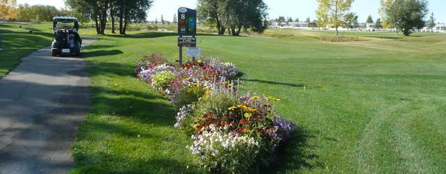 Gleniffer Lake Resort - photo 3
