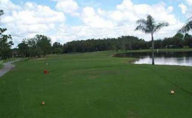 Cross Creek - photo 2