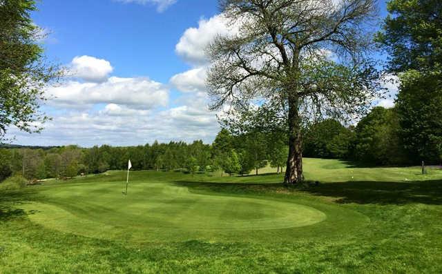 Chiddingfold Golf Club - photo 3