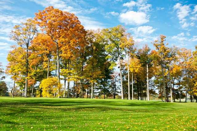 Forest Akers East Golf Course - photo 3