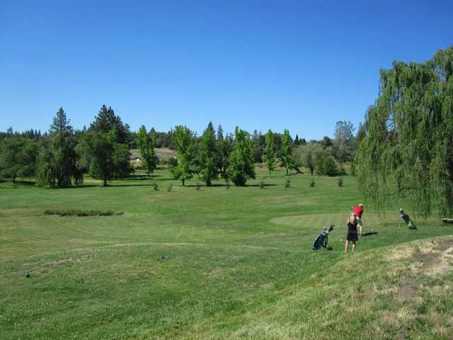 Gator Creek Golf Course - photo 2