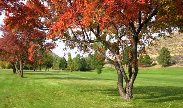 Bear Creek Golf Course - photo 3