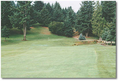 Springwater Golf Course - photo 3