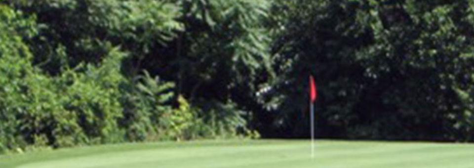 Collins Park Golf Course - photo 2
