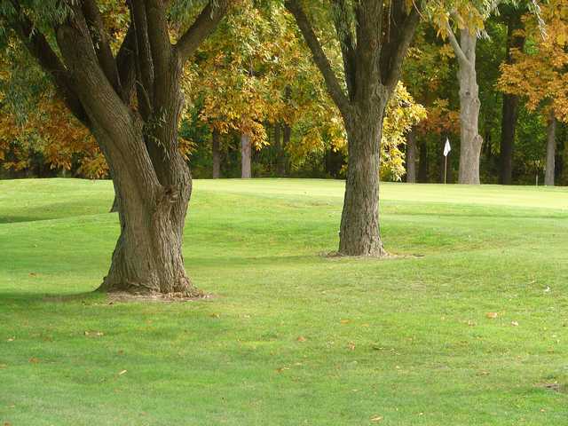 Springvale Golf Course - photo 1