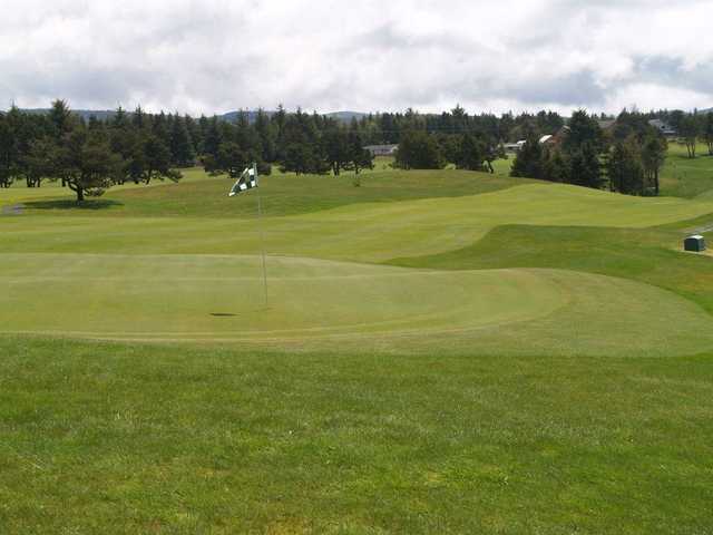 Crestview Golf Club - photo 7