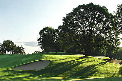 Trull Brook Golf Course - photo 2