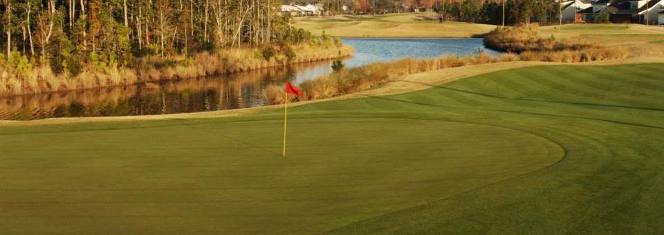 St. John's Golf and Country Club - photo 7