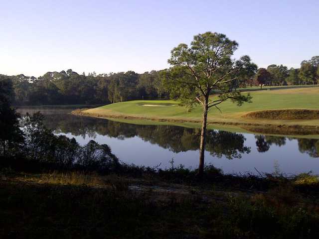 Eagle - photo 3