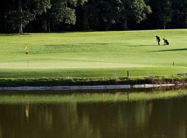 Fota Island Resort - Deerpark - photo 3
