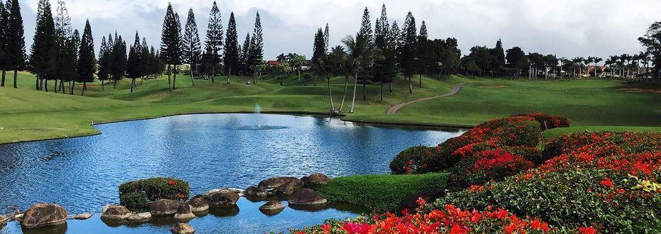 Waikele Country Club - photo 6