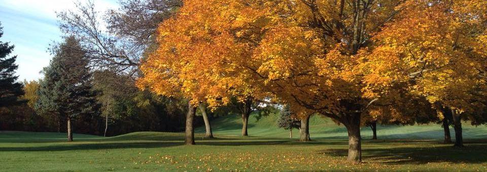 Cedardell Golf Club - photo 4