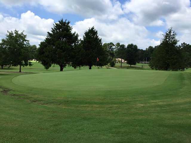 Bel Air Golf Course - photo 1