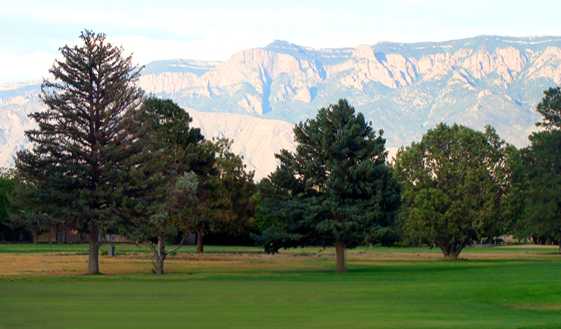 Paradise Hills Golf Course - photo 4