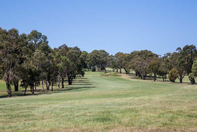 Mount Martha Public Golf Course - photo 2