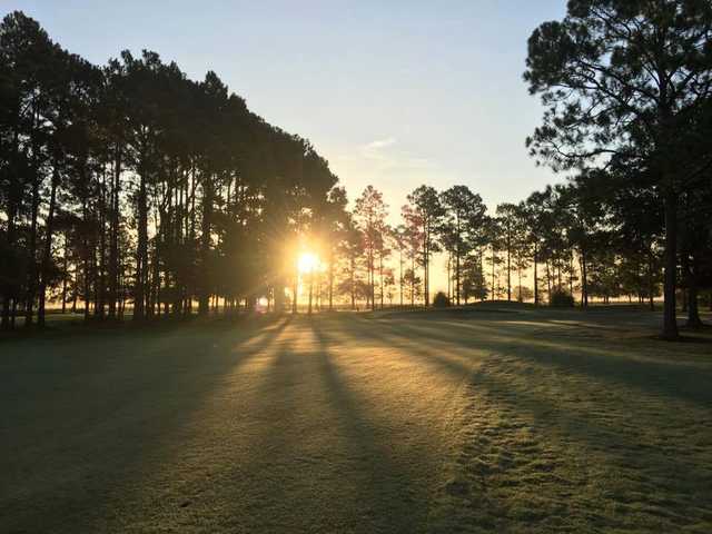 Blueberry Plantation Golf and Country Club - photo 2