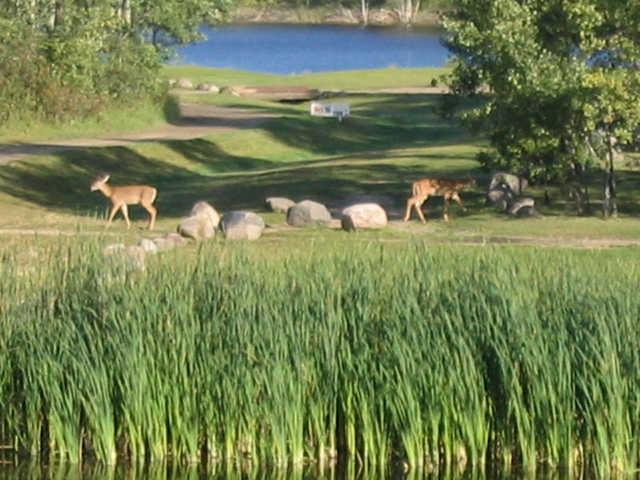 Oakwood Golf Course - photo 3
