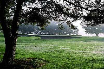 Warkworth Golf Club - photo 2
