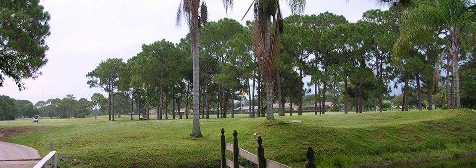 Island Pines Golf Club - photo 3