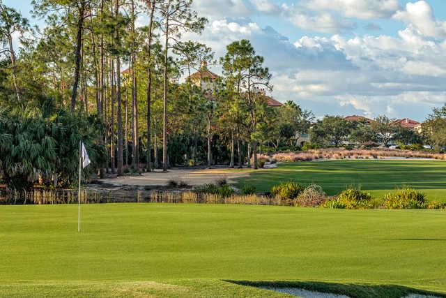 Tiburon Golf Club - Black Course - photo 4