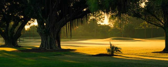 Delray Dunes Golf & Country Club - photo 4
