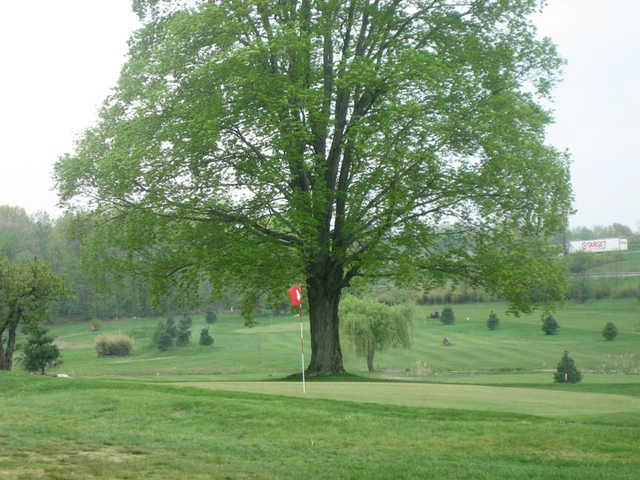 Turtle Creek - photo 3