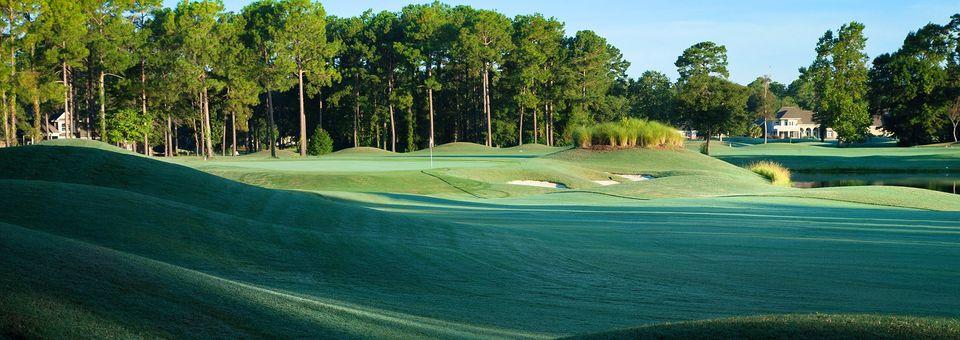 Sea Trail Golf Resort - The Dan Maples Golf Course - photo 5