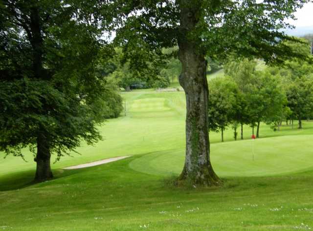 Abbeyleix Golf Club - photo 3