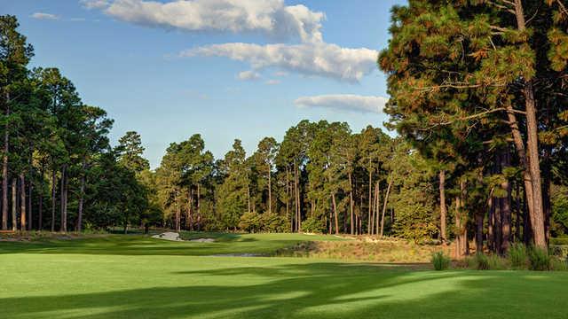 Pinehurst Resort & Country Club - #2 Course - photo 5